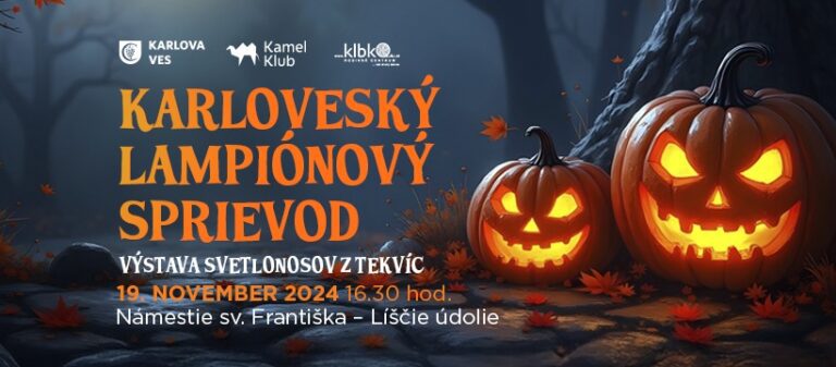flyer 768x337